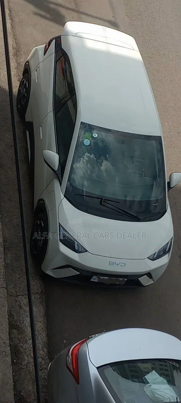 BYD Seagull 2025