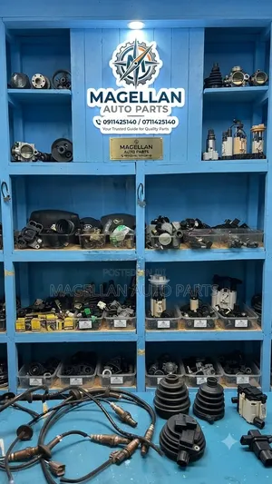 Magellan Auto Parts
