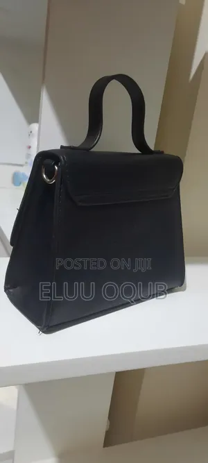 Purse (Small Bag)