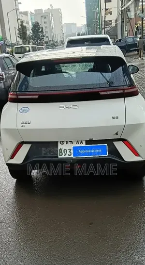 New BYD Seagull 2025 White