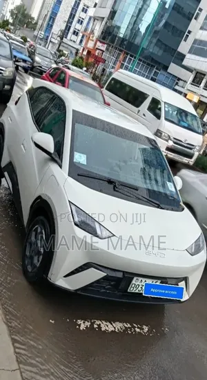 New BYD Seagull 2025 White