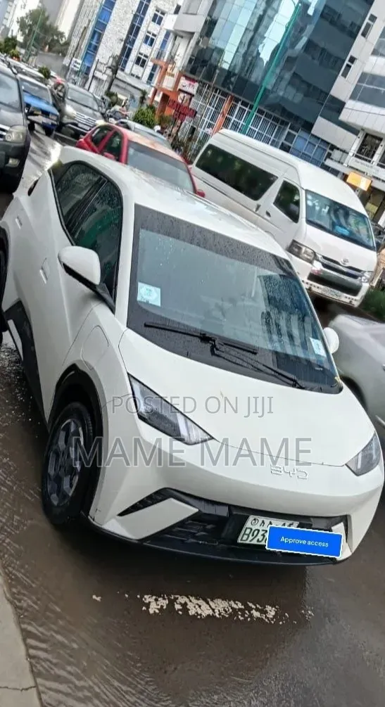 New BYD Seagull 2025 White