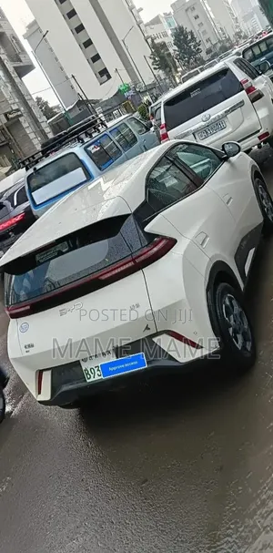 New BYD Seagull 2025 White