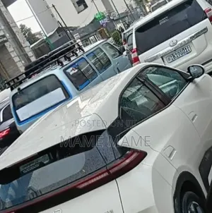 New BYD Seagull 2025 White