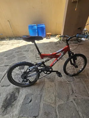 Dual Suspension Mountain Bike