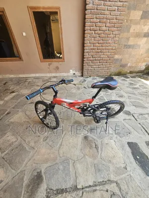 Dual Suspension Mountain Bike