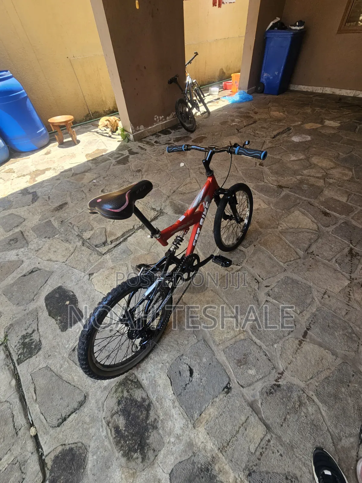 Dual Suspension Mountain Bike