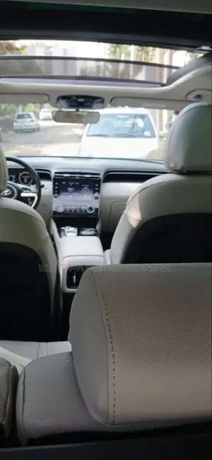 Hyundai Tucson 2022 Orange