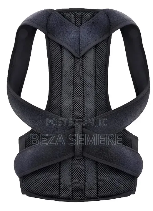 All-Day Comfort Back Support – Brand New Stock!
