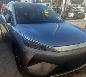 BYD Yuan Plus 2025 Gray