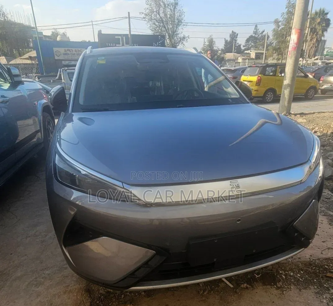 BYD Yuan Plus 2025 Gray