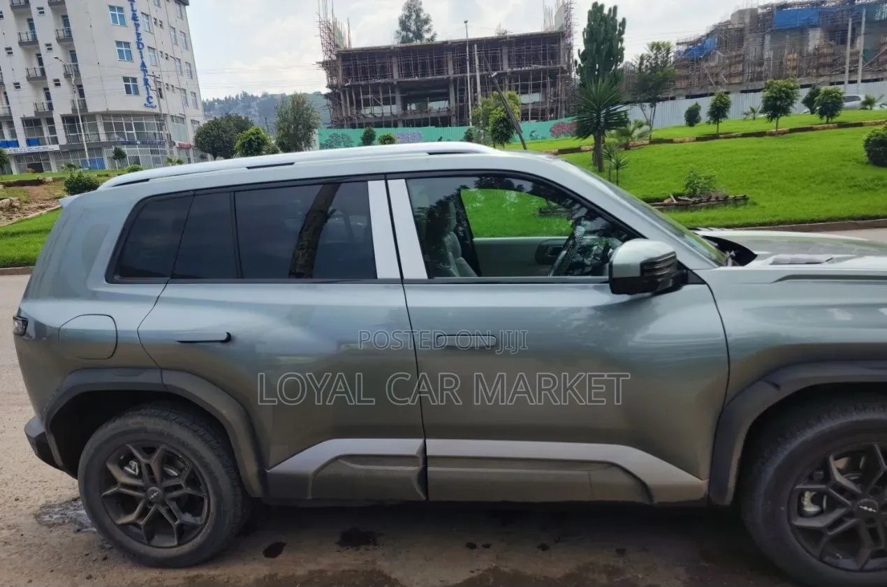 BYD Leopard 3 2025 Gray