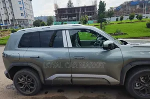BYD Leopard 3 2025 Gray