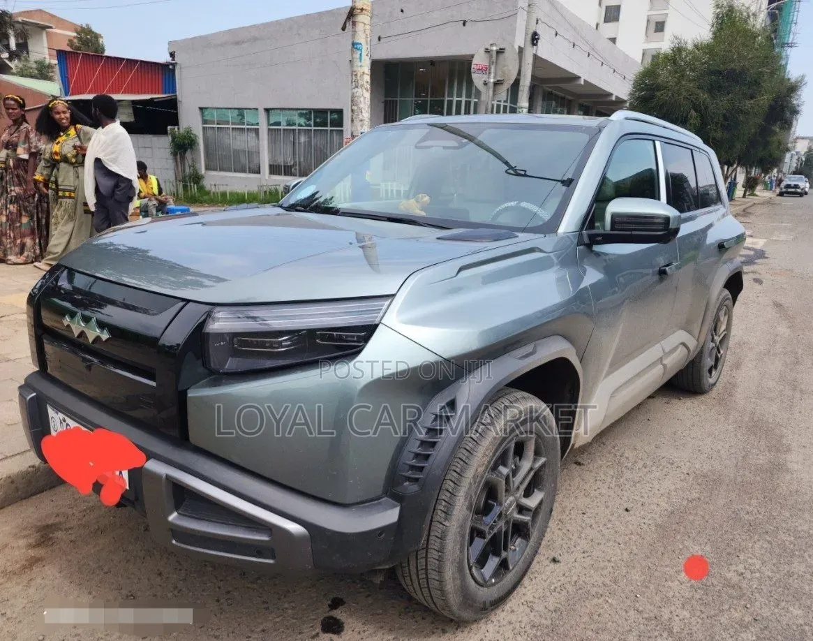 BYD Leopard 3 2025 Gray