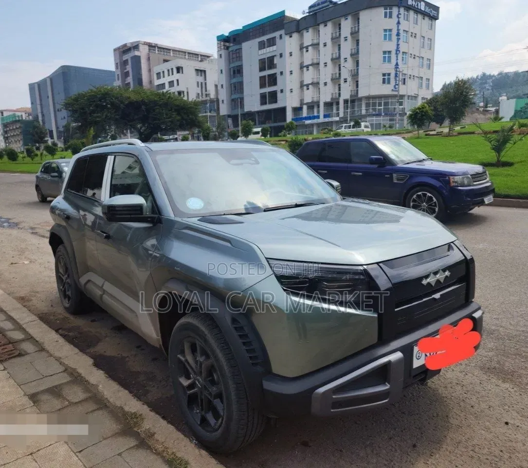 BYD Leopard 3 2025 Gray