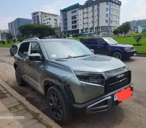 BYD Leopard 3 2025 Gray