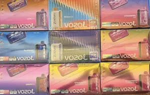 Vozol Rave Vape 40k Puff