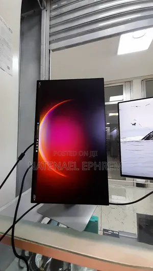Dell 24 Inch Monitor