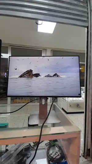 Dell 24 Inch Monitor