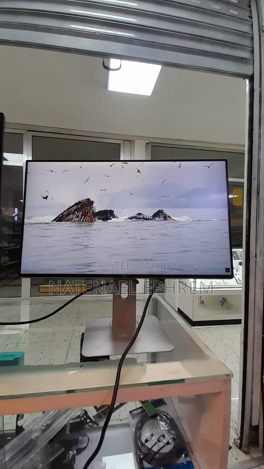 Dell 24 Inch Monitor