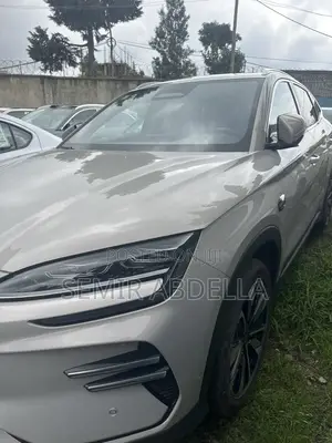 New BYD Song Plus 2025 Gray