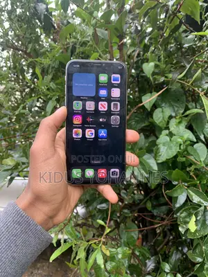Apple iPhone X 256 GB Black