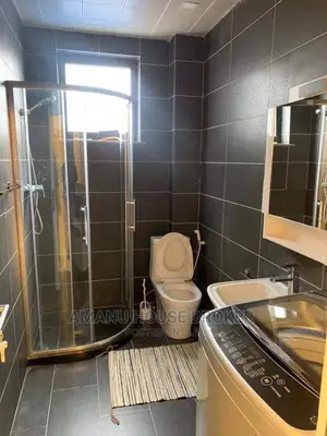 Furnished 3bdrm Apartment in ደበል, Bole for Sale