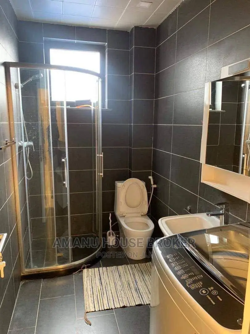 Furnished 3bdrm Apartment in ደበል, Bole for Sale