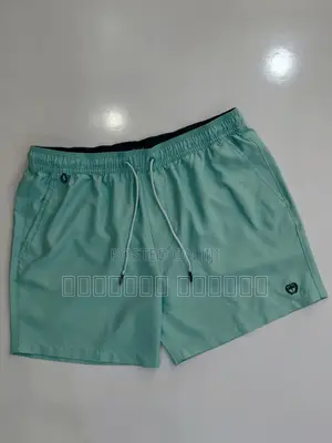 Fresh Fit Shorts 🩳🔥