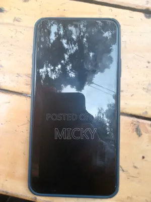 Apple iPhone 11 Pro Max 256 GB Gray