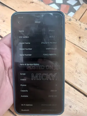 Apple iPhone 11 Pro Max 256 GB Gray