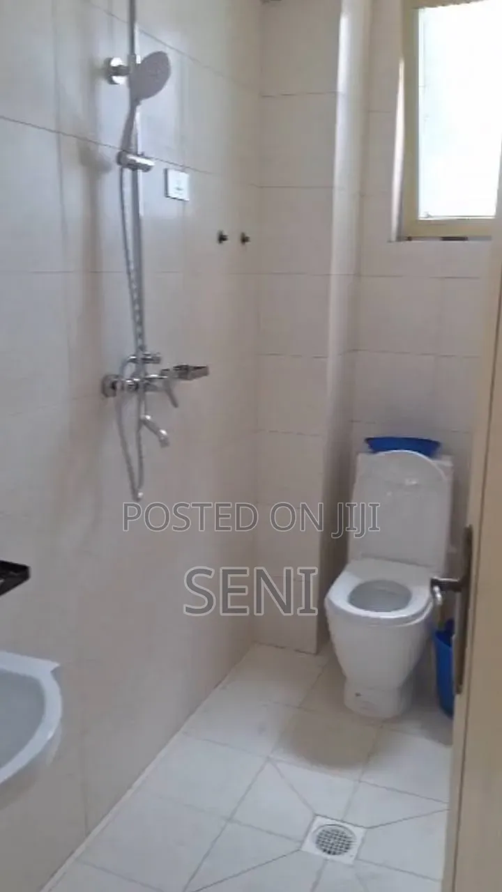 Furnished 2bdrm Apartment in 49 Ayat, Bole for sale