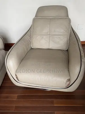Furniture Sofa
