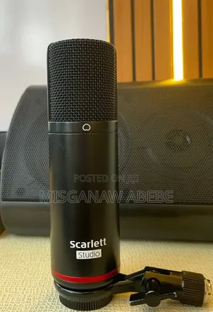 Studio Mic