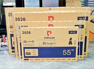 Popular 55inch TV