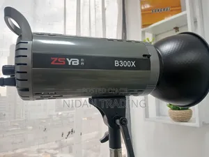 Zsyb300x Video Light