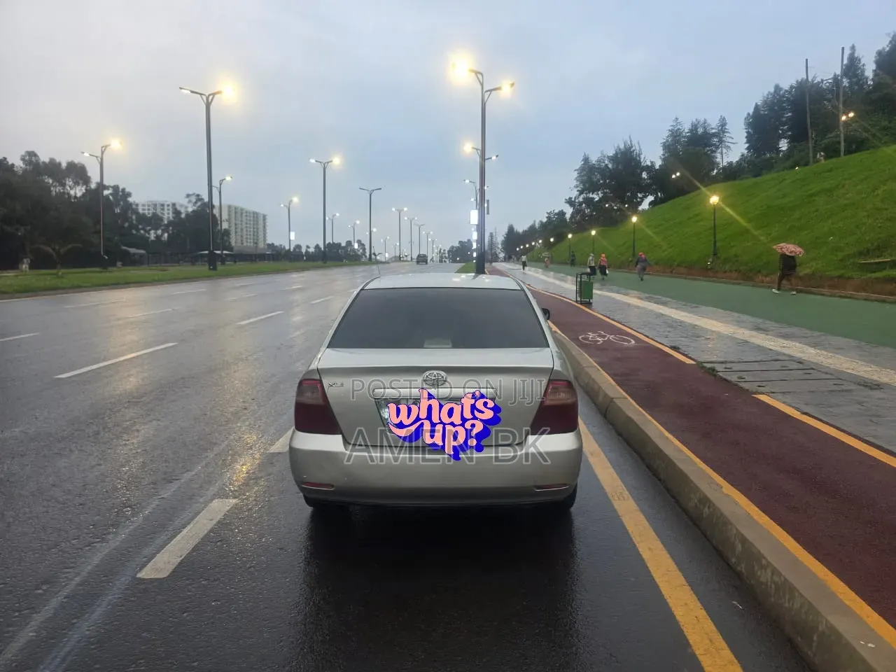 Toyota Corolla 2006 Gray