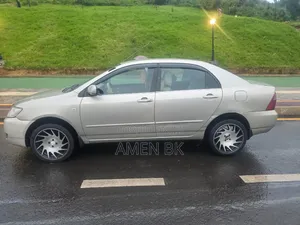 Toyota Corolla 2006 Gray