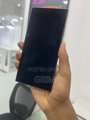 Samsung Galaxy S24 Ultra 256 GB Gray