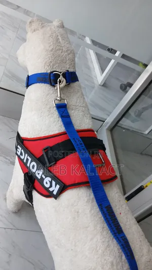 Dog K-9 Harness