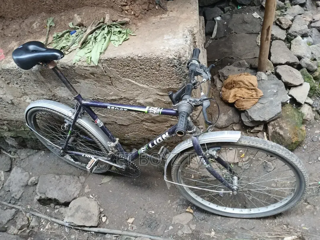 Personal Mobility