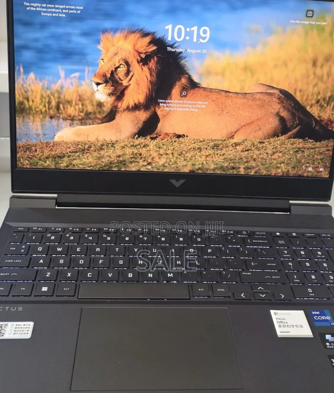 New Laptop HP Victus 15 16GB Intel Core i7 SSD 512GB