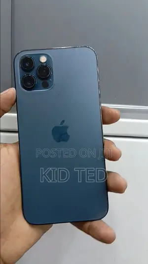 Apple iPhone 12 Pro Max 256 GB Gray