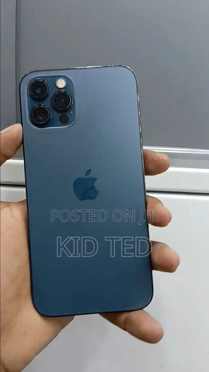 Apple iPhone 12 Pro Max 256 GB Gray
