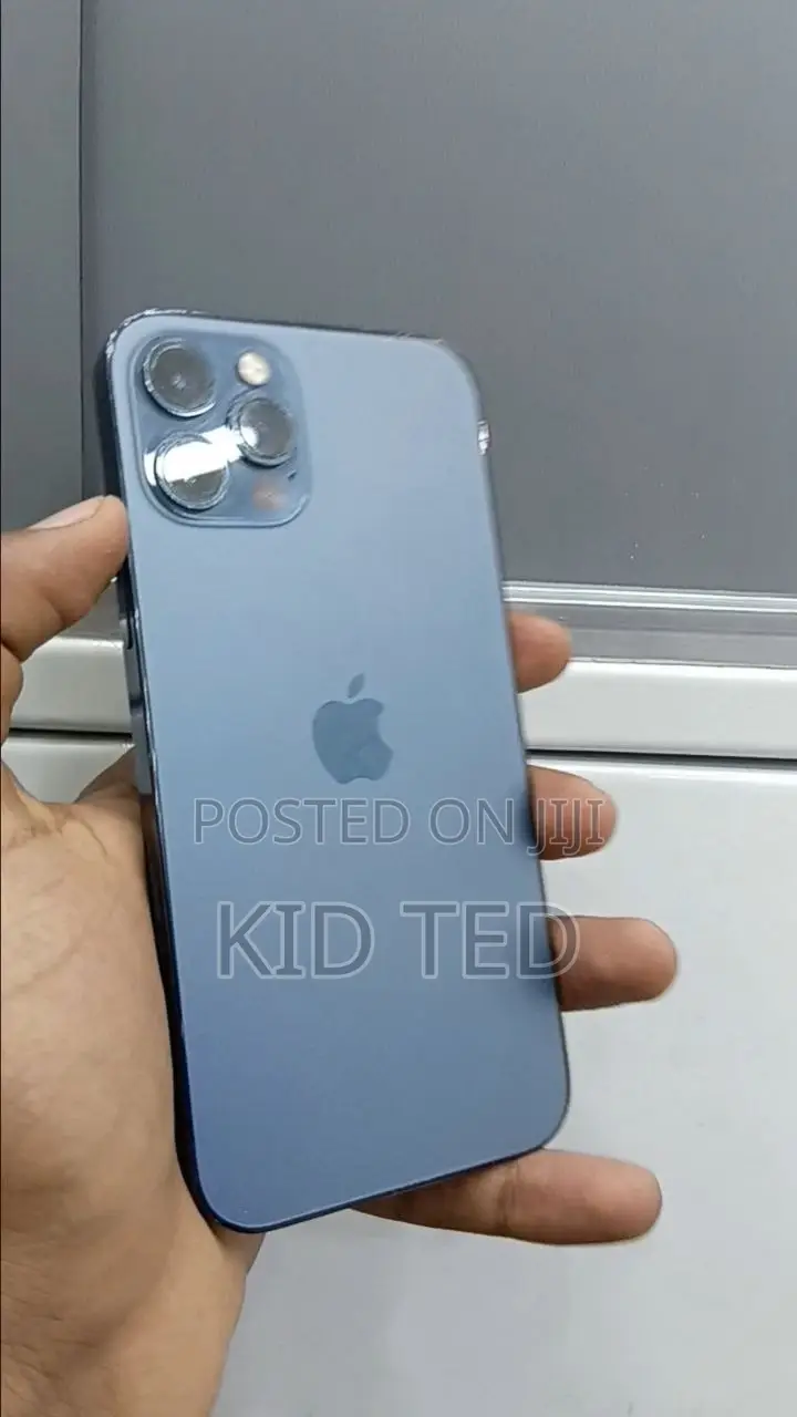 Apple iPhone 12 Pro Max 256 GB Gray