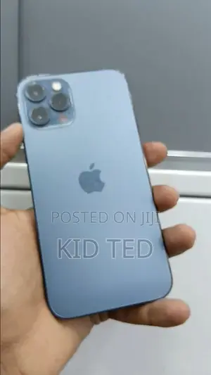 Apple iPhone 12 Pro Max 256 GB Gray