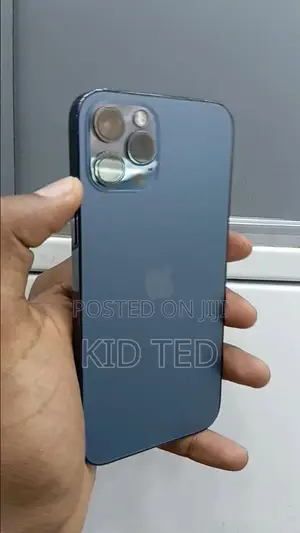 Apple iPhone 12 Pro Max 256 GB Gray