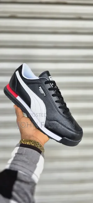New PUMAS Jaguar