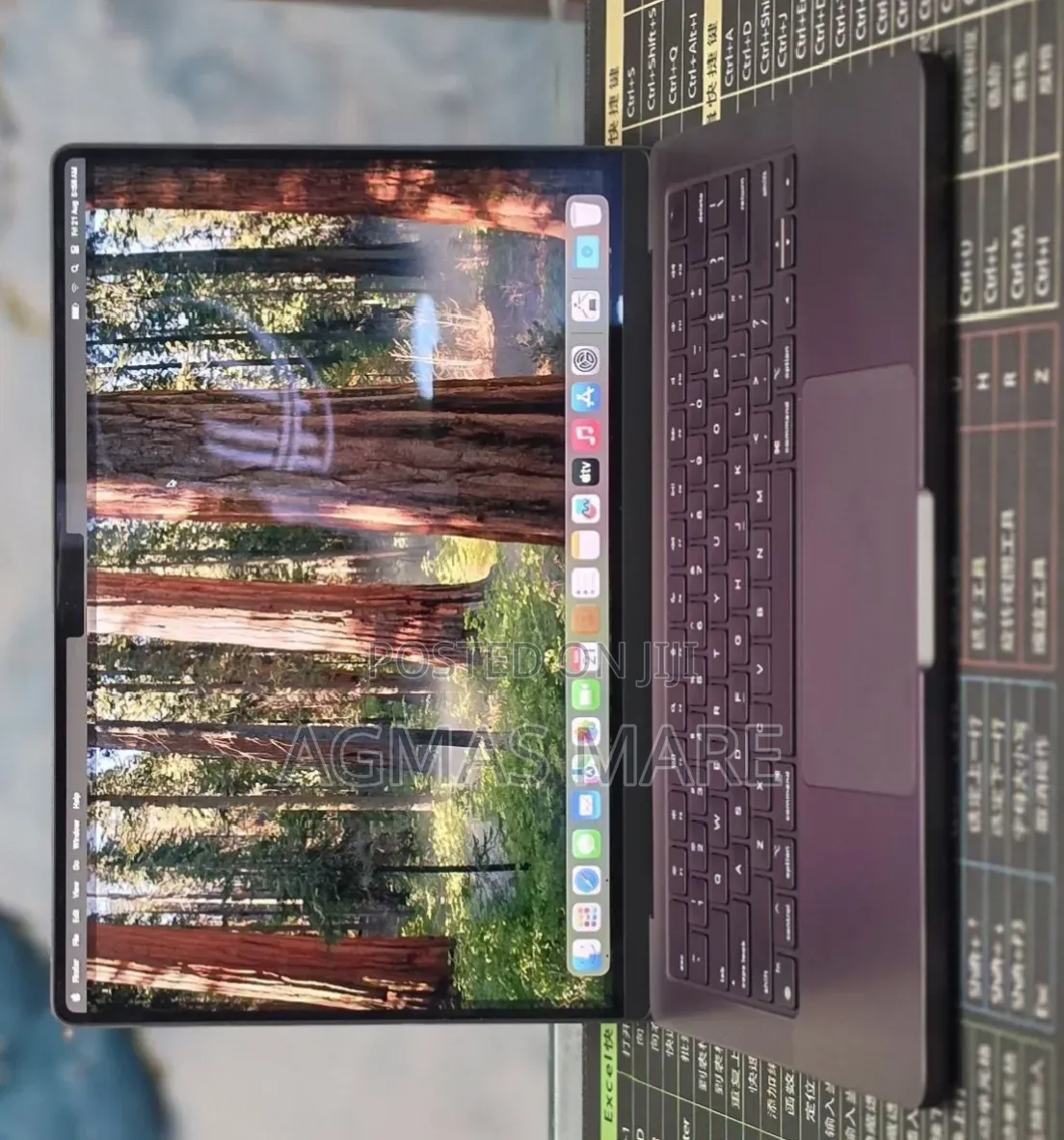 New Laptop Apple MacBook Pro 2024 M4 16GB Apple M4 SSD 512GB