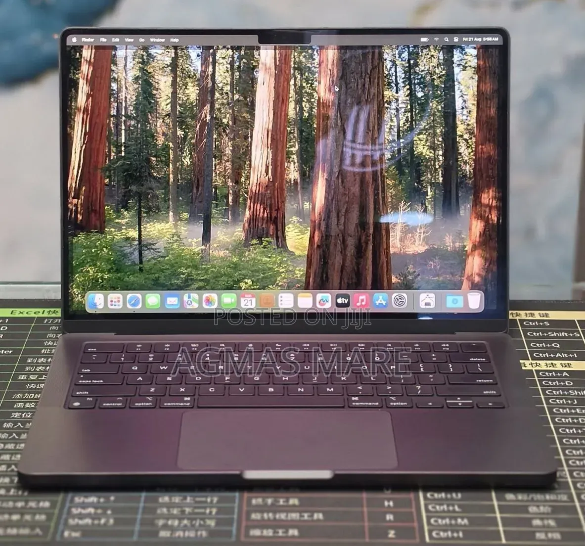 New Laptop Apple MacBook Pro 2024 M4 16GB Apple M4 SSD 512GB